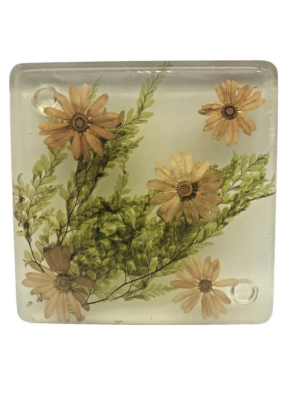 Vintage Acrylic Resin Trivet Daisy Fern Dried Flowers 7.75” Square MCM Footed